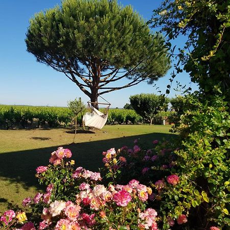 Entre Loire Et Vignobles Bed and Breakfast Liré Eksteriør billede