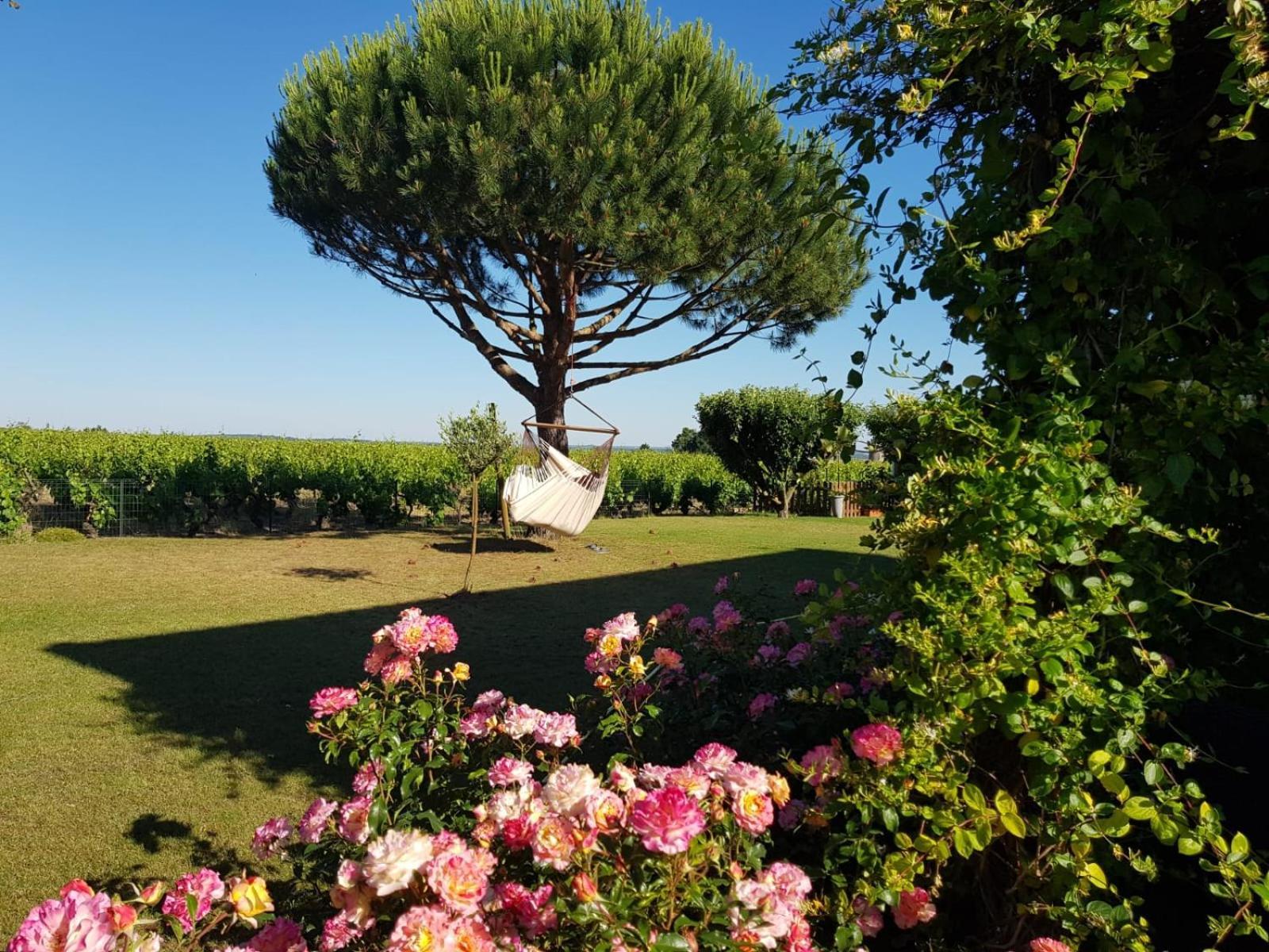 Entre Loire Et Vignobles Bed and Breakfast Liré Eksteriør billede